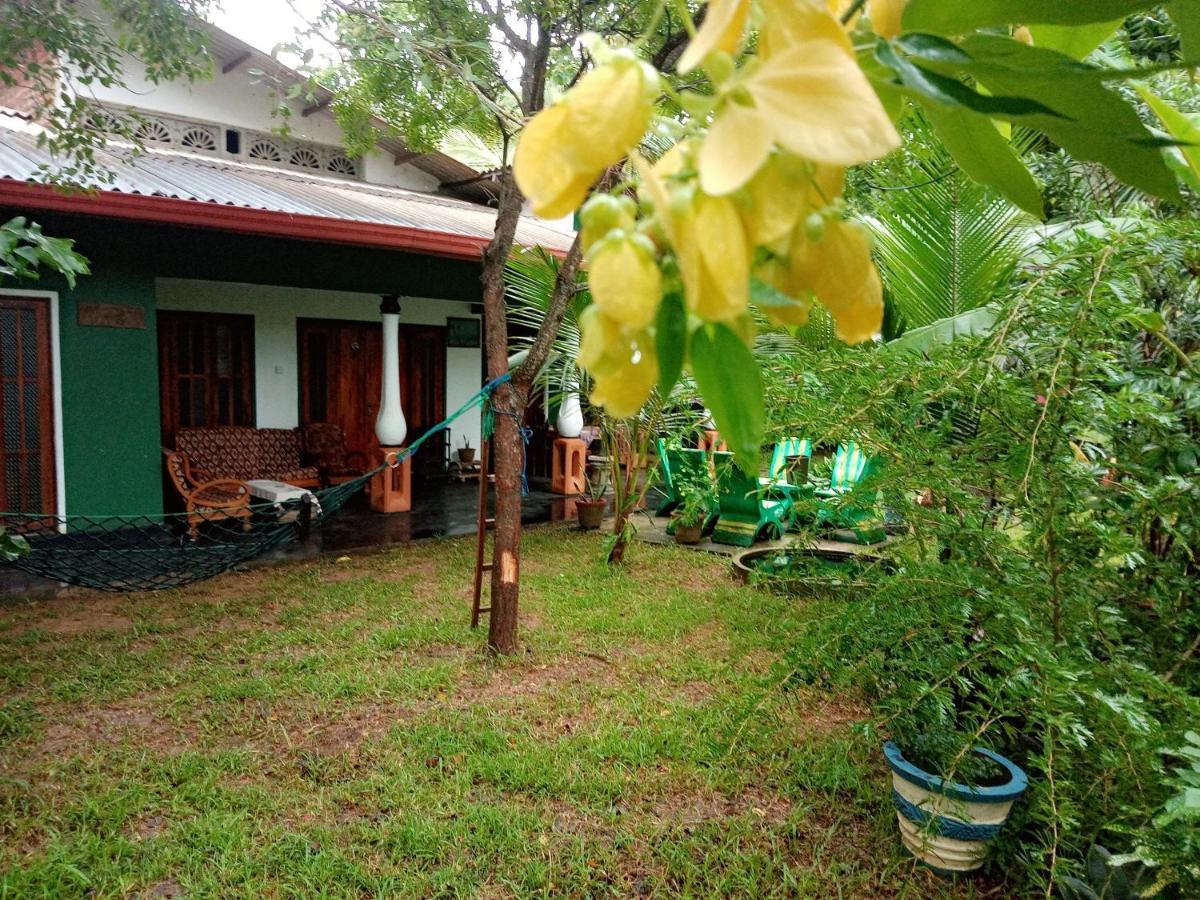 Sigiriya Village Home Stay Екстериор снимка